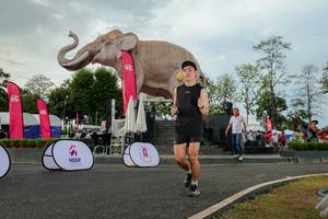 BIB: 
                            <button type="button" onclick="openModal(26528577)" class="btn btn-primary btn-sm float-right btn-popup" data-toggle="modal" data-target=".modal-high-quality">
                        <i class="fas fa-shopping-cart"></i> Add to Cart
                    </button>
                                            <button type="button" onclick="isThisMe(26528577, true)" class="btn btn-success btn-sm float-right btn-popup btn-isme hidden" data-toggle="tooltip" data-placement="bottom" title="นี่คือรูปของคุณใช่ไหม คลิกที่นี่เพื่อเอาเข้าอัลบั้ม">
                        <i class="fas fa-plus"></i> Add to album
                    </button>
                    <button type="button" onclick="isThisMe(26528577, false)" class="btn btn-warning btn-sm float-right btn-popup btn-isnotme hidden">
                        <i class="fas fa-ban"></i> Remove from album
                    </button>